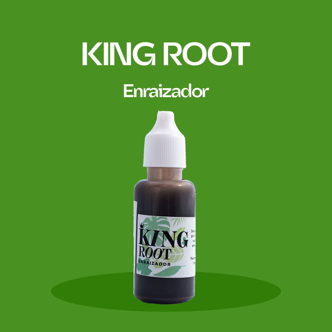 King Root 25 ml