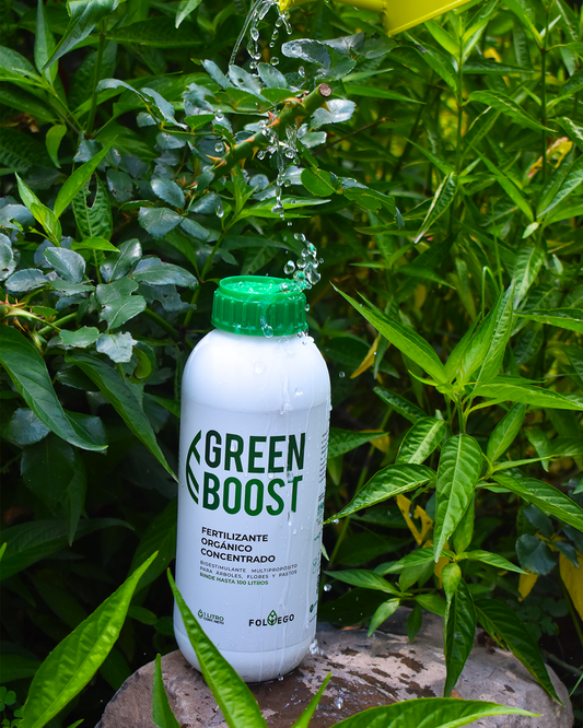 Green Boost 1 litro