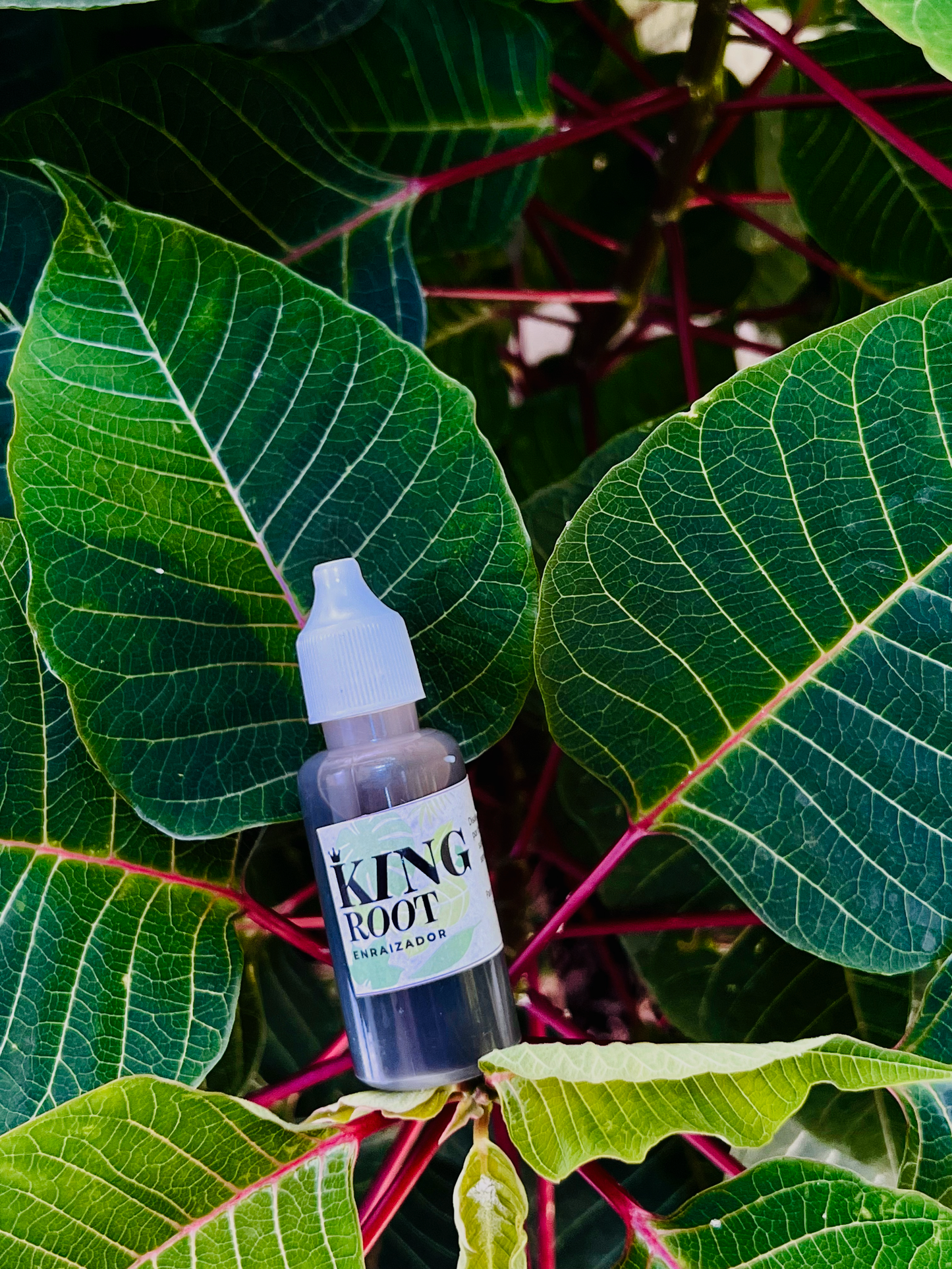 King Root 25 ml