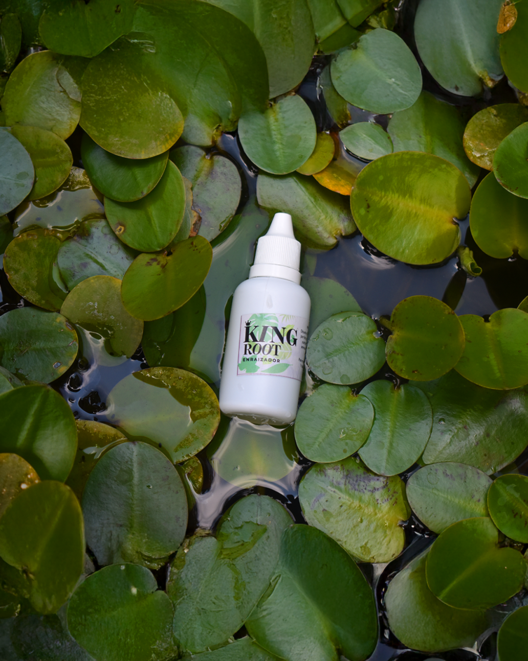 King Root 25 ml