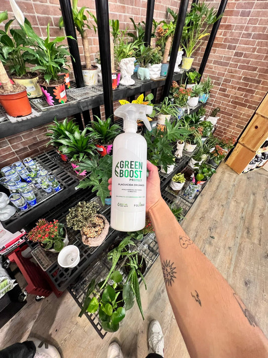 Green Boost x AlSuper