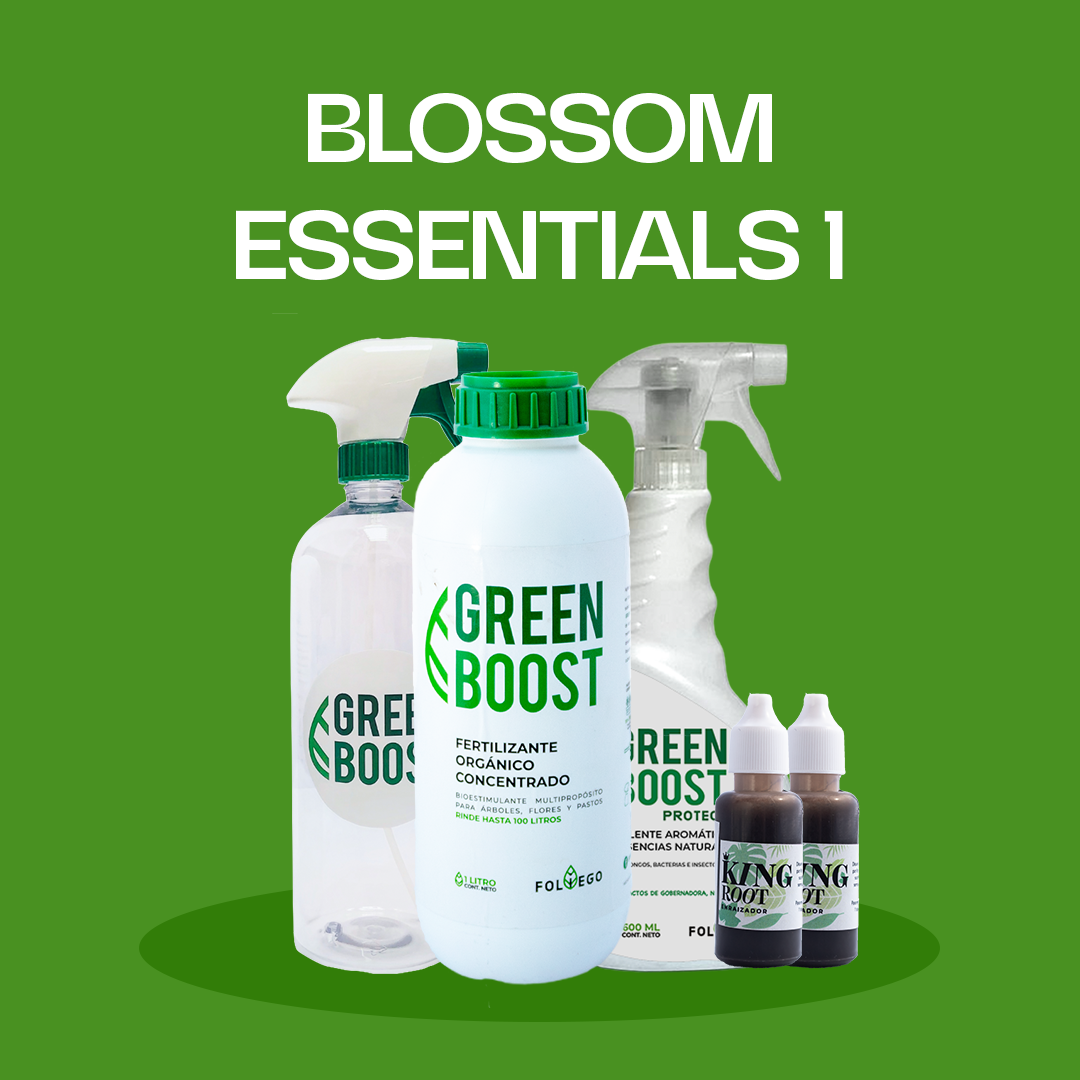 Blossom Essentials 1