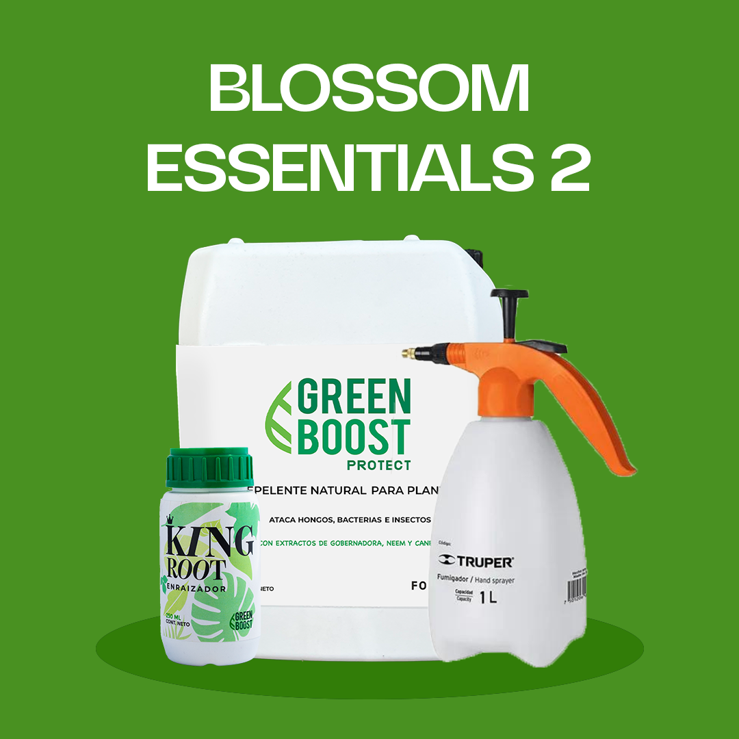 Blossom Essentials 2