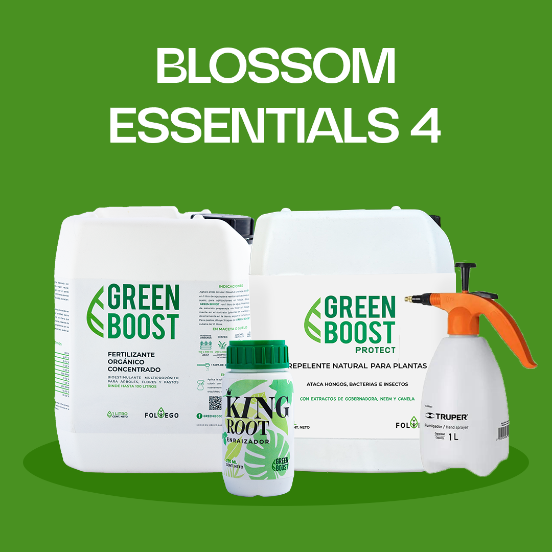Blossom Essentials 4