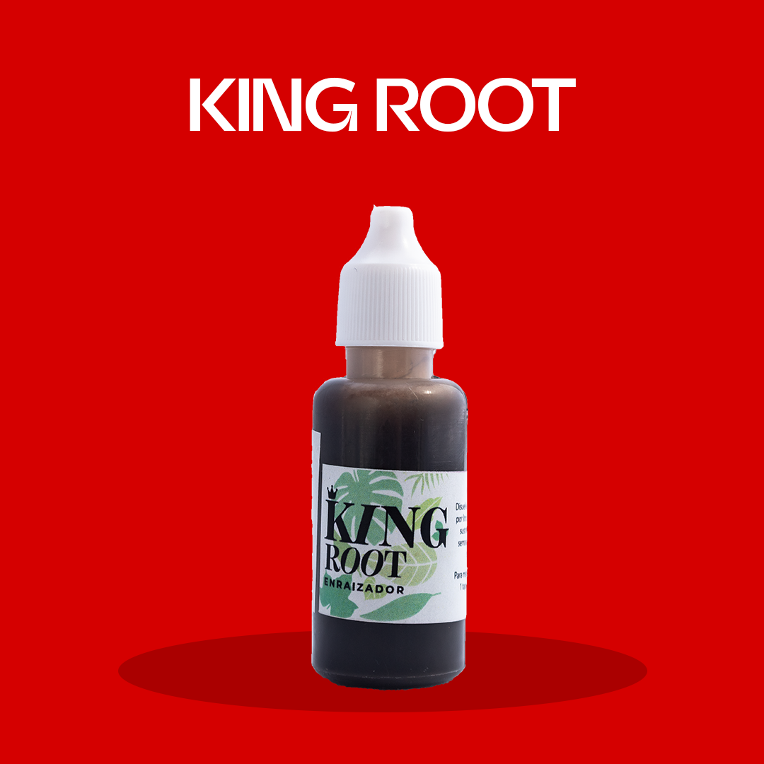 King Root 25 ml