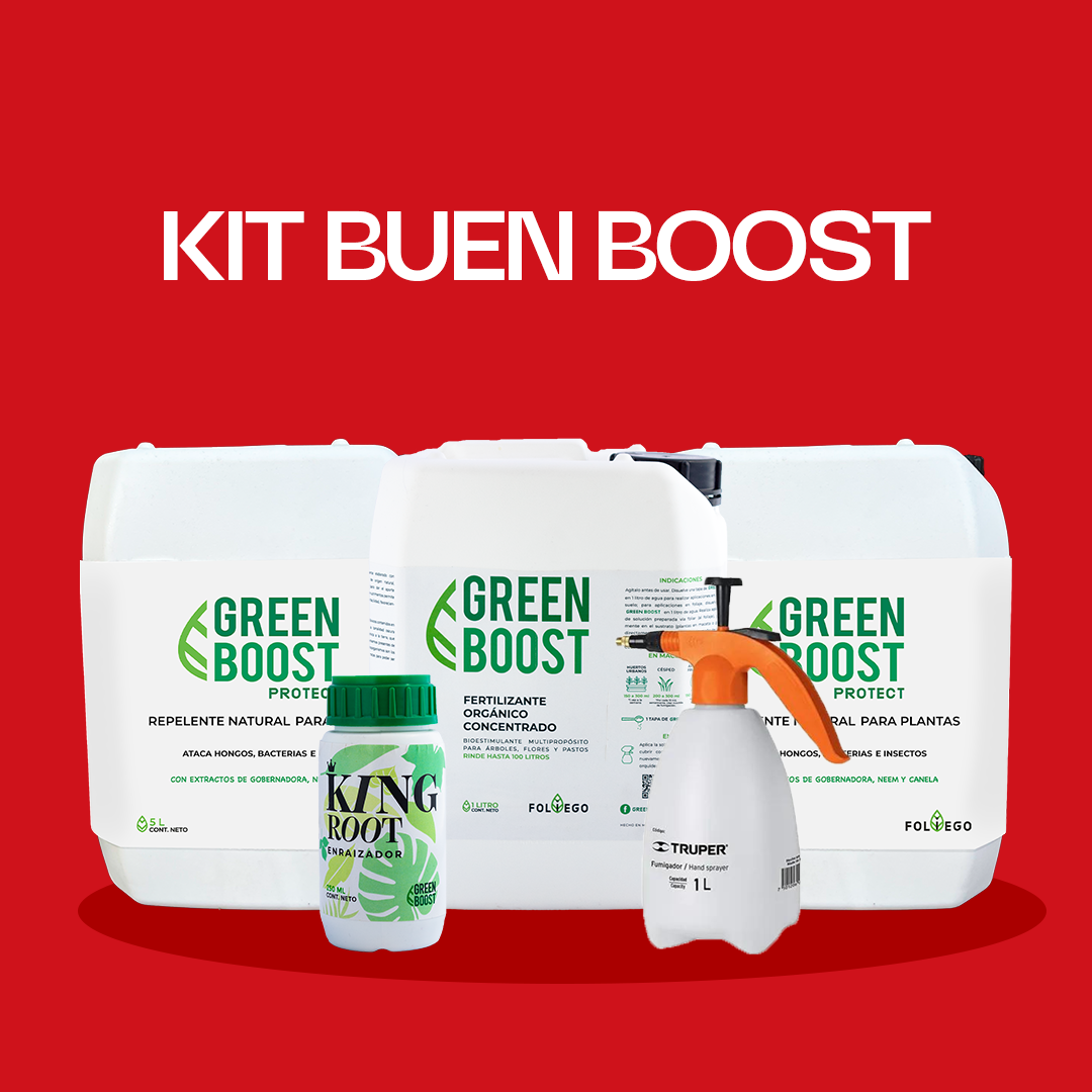 Kit Buen Boost