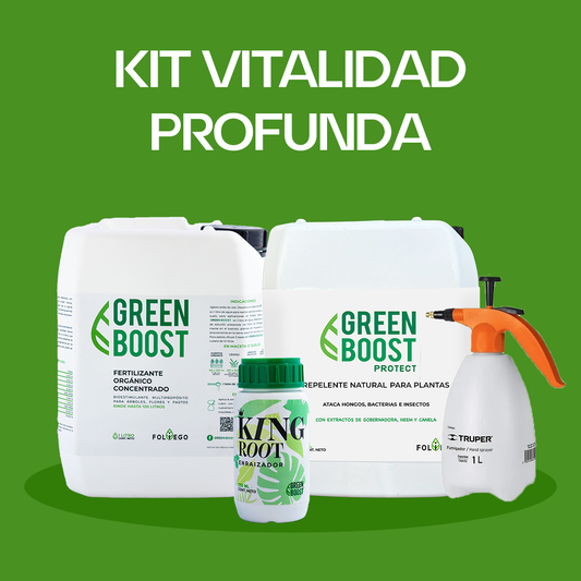 Kit vitalidad profunda