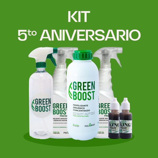 KIT 5to ANIVERSARIO