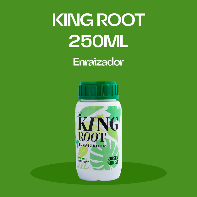 Koring Rott King Root 250ml – GREEN BOOST