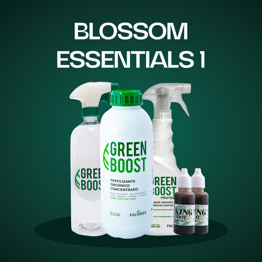 Blossom Essentials 1