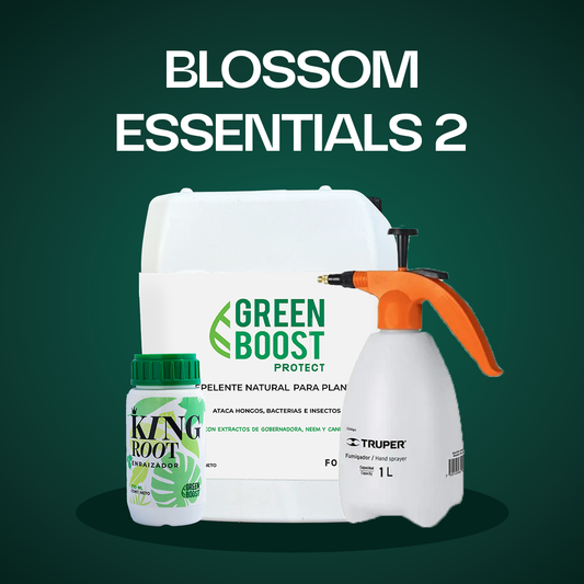 Blossom Essentials 2