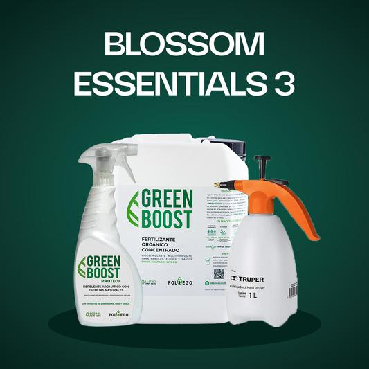 Blossom Essentials 3