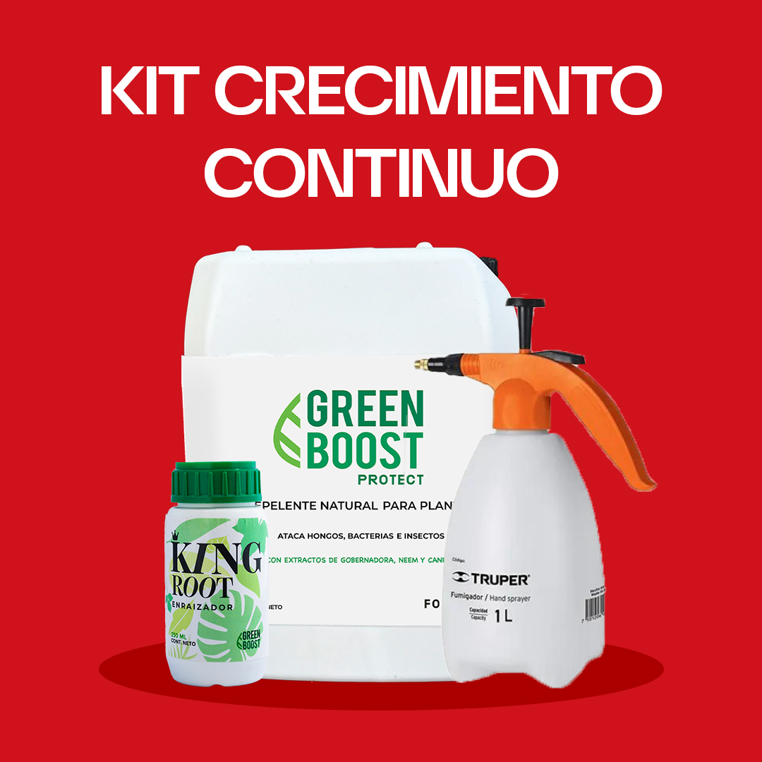 Kit crecimiento continuo