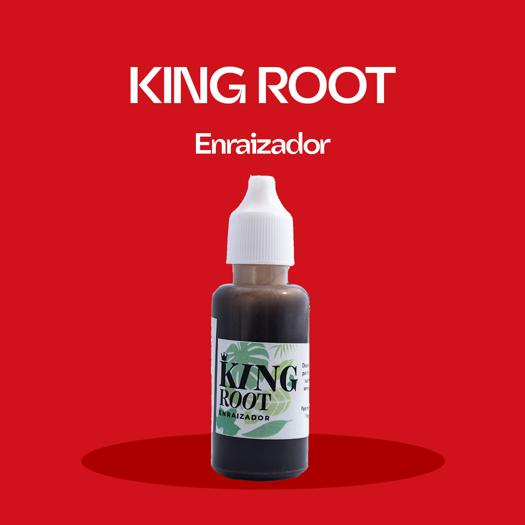 King Root 25 ml