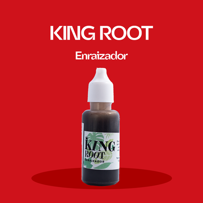 King Root 25 ml