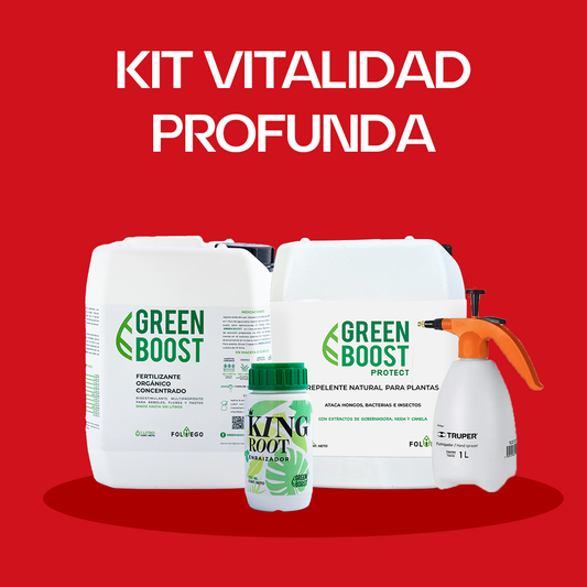 Kit vitalidad profunda